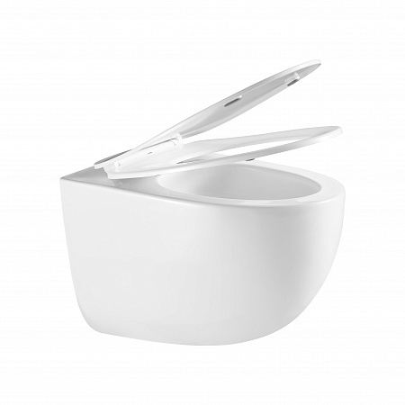 Подвесной унитаз безободковый Terminus Енисей Monolit 560х390 белый Иркутск - фото 7 Подвесной унитаз безободковый Terminus Енисей Monolit 560х390 белый Иркутск - фото 7