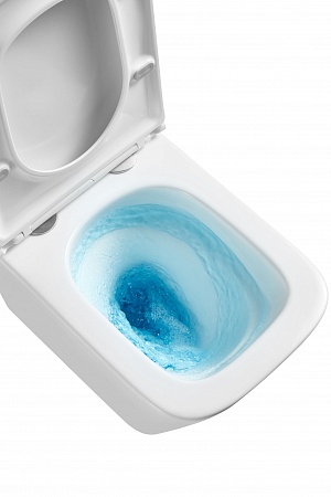 Подвесной унитаз безободковый Terminus Ватикан Monolit 490х340 белый Иркутск - фото 8 Подвесной унитаз безободковый Terminus Ватикан Monolit 490х340 белый Иркутск - фото 8