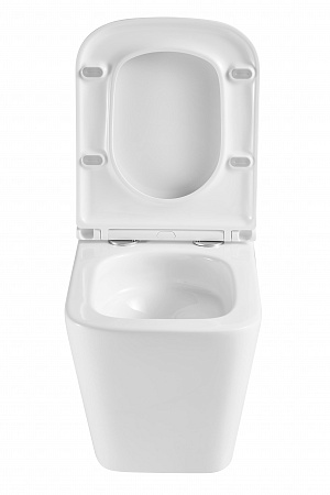 Подвесной унитаз безободковый Terminus Ватикан Monolit 490х340 белый Иркутск - фото 7 Подвесной унитаз безободковый Terminus Ватикан Monolit 490х340 белый Иркутск - фото 7