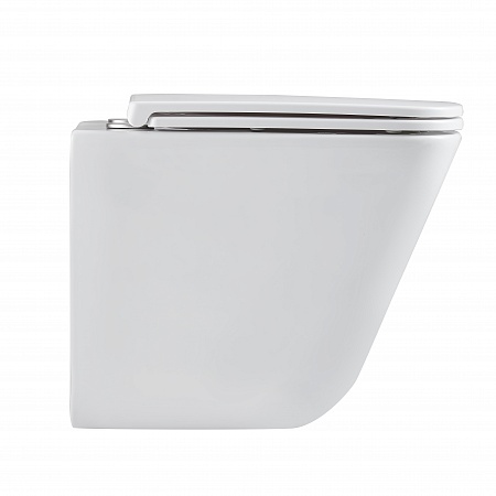 Подвесной унитаз безободковый Terminus Ватикан Monolit 490х340 белый Иркутск - фото 4 Подвесной унитаз безободковый Terminus Ватикан Monolit 490х340 белый Иркутск - фото 4