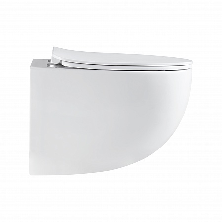 Подвесной унитаз безободковый Terminus Енисей Monolit 560х390 белый Иркутск - фото 4 Подвесной унитаз безободковый Terminus Енисей Monolit 560х390 белый Иркутск - фото 4