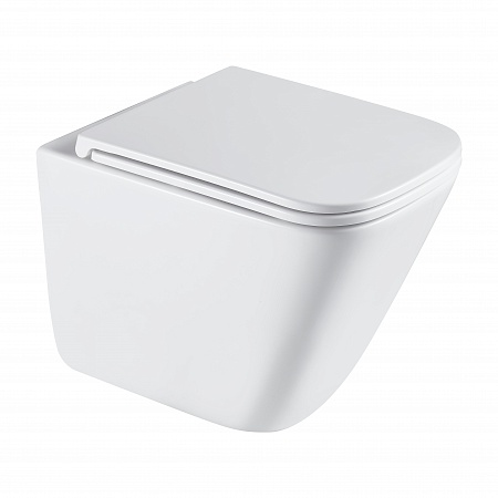 Подвесной унитаз безободковый Terminus Ватикан Monolit 490х340 белый Иркутск - фото 2 Подвесной унитаз безободковый Terminus Ватикан Monolit 490х340 белый Иркутск - фото 2