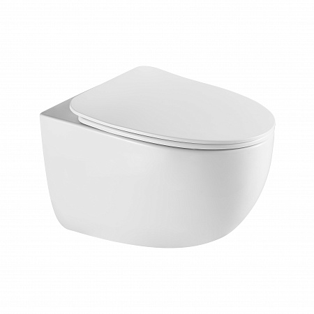 Подвесной унитаз безободковый Terminus Енисей Monolit 560х390 белый Иркутск - фото 2 Подвесной унитаз безободковый Terminus Енисей Monolit 560х390 белый Иркутск - фото 2