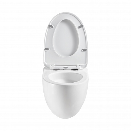 Подвесной унитаз безободковый Terminus Енисей Monolit 560х390 белый Иркутск - фото 5 Подвесной унитаз безободковый Terminus Енисей Monolit 560х390 белый Иркутск - фото 5