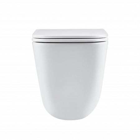 Подвесной унитаз безободковый Terminus Ватикан Monolit 490х340 белый Иркутск - фото 6 Подвесной унитаз безободковый Terminus Ватикан Monolit 490х340 белый Иркутск - фото 6