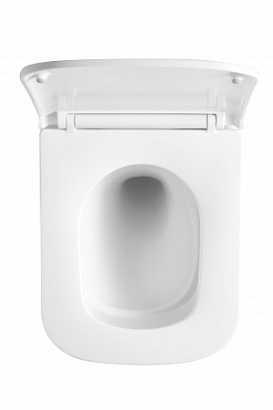 Подвесной унитаз безободковый Terminus Ватикан Monolit 490х340 белый Иркутск - фото 3 Подвесной унитаз безободковый Terminus Ватикан Monolit 490х340 белый Иркутск - фото 3